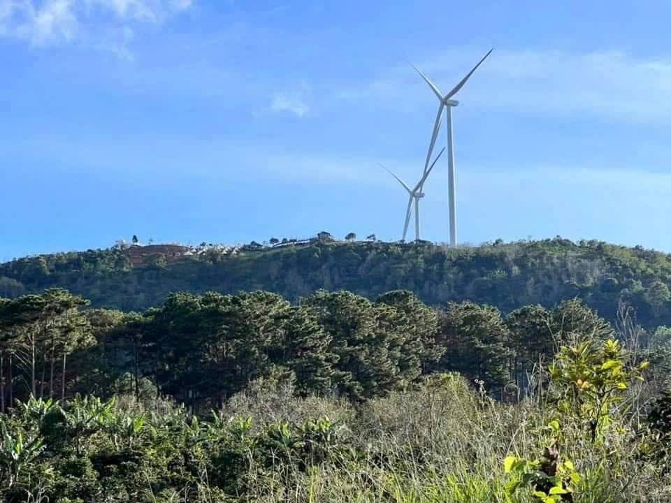 Cần bán gấp Lô Đất view đẹp tại Xuân Trường, Đà Lạt 7100m2 giá 800tr/sào - Ảnh chính